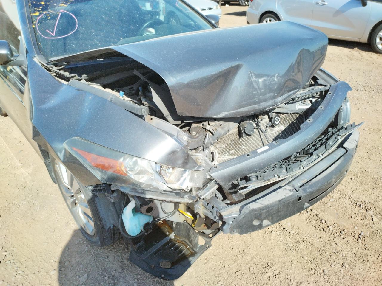 Photo 9 from auction – 2010 HONDA ACCORD EXL with VIN 1HGCS1B86AA009489