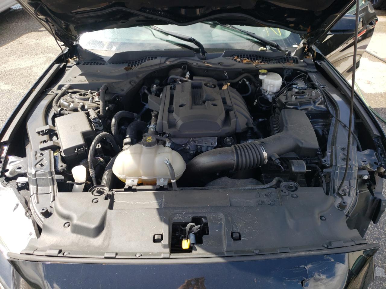 Photo 7 from auction – 2020 FORD MUSTANG with VIN 1FA6P8TH1L5136799