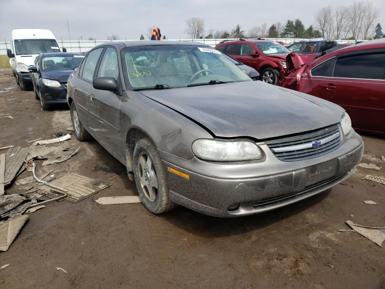 CHEVROLET MALIBU LS 2002 with VIN 1G1NE52J02M598637 - Photo from auction