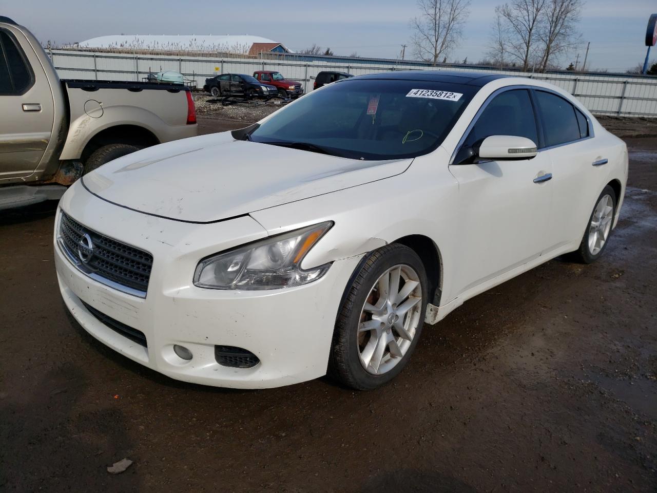 Photo 2 from auction – 2009 NISSAN MAXIMA S with VIN 1N4AA51E29C848097