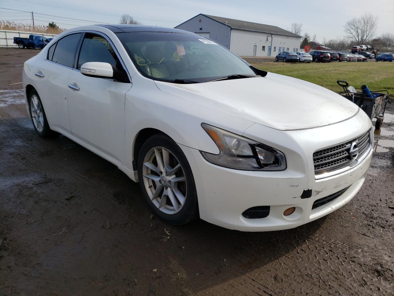 NISSAN MAXIMA S 2009 with VIN 1N4AA51E29C848097 - Photo from auction