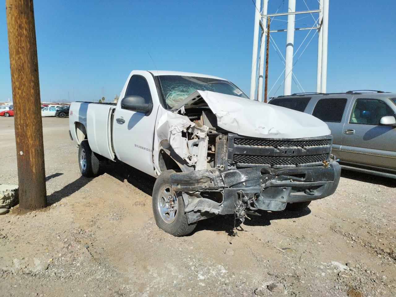 CHEVROLET SILVERADO 2009 with VIN 1GCEK140X9Z219430 - Photo from auction
