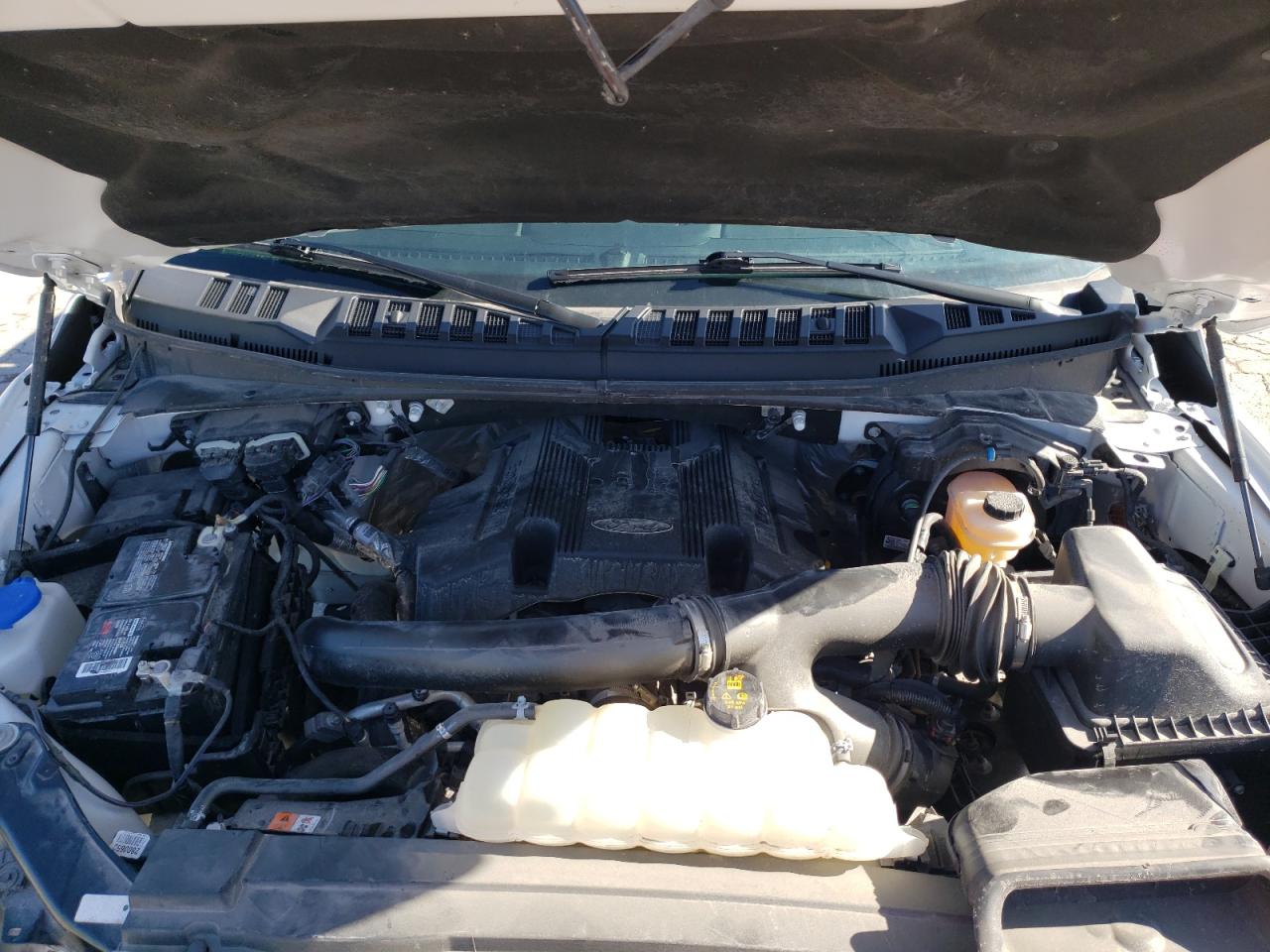 Photo 7 from auction – 2019 FORD F150 SUPER with VIN 1FTEW1E42KKF02456