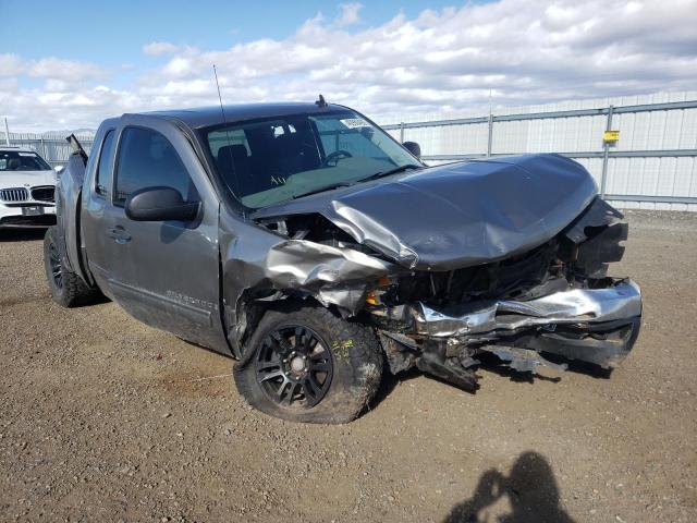 CHEVROLET SILVERADO 2009 with VIN 1GCEK19C59Z209696 - Photo from auction