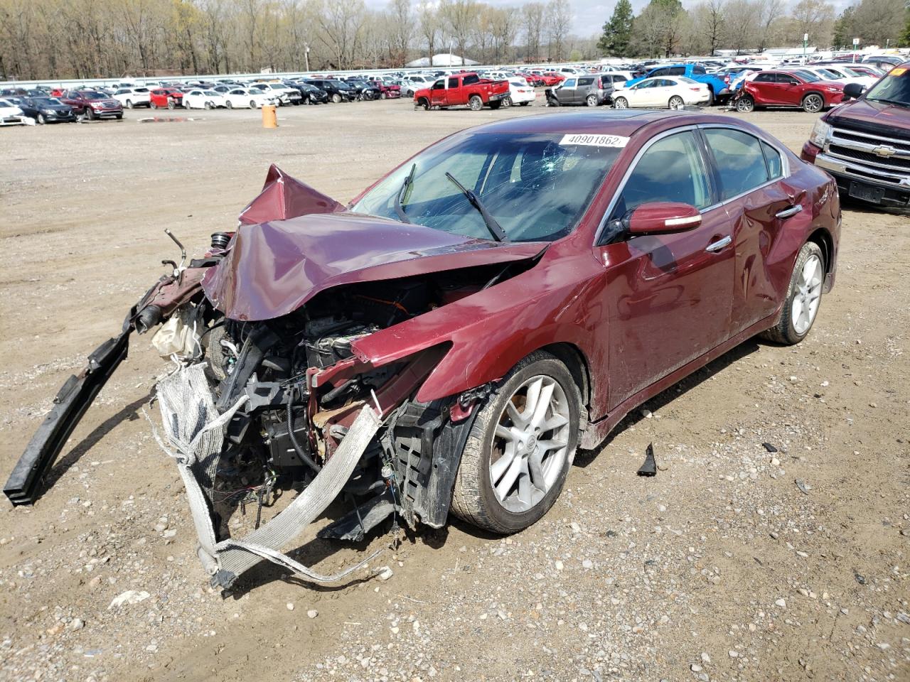 Photo 2 from auction – 2009 NISSAN MAXIMA S with VIN 1N4AA51E39C840848