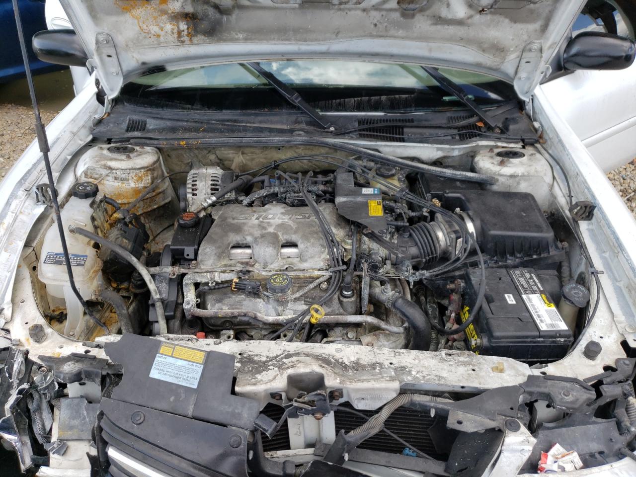 Photo 7 from auction – 2000 CHEVROLET MALIBU with VIN 1G1ND52J5Y6173611