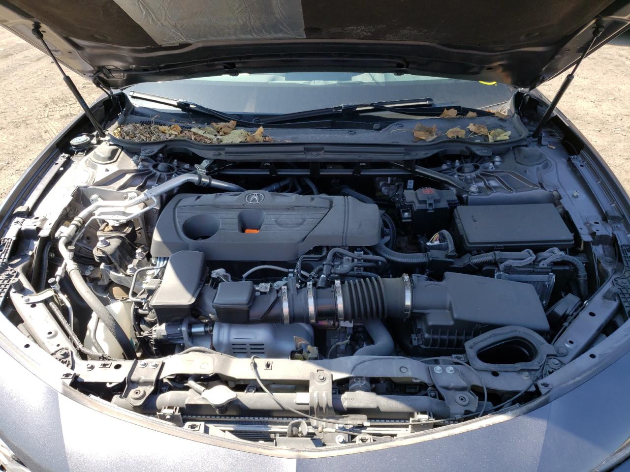 Photo 7 from auction – 2021 ACURA TLX TECH A with VIN 19UUB5F57MA013003