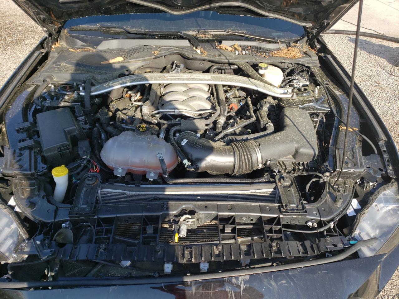 Photo 7 from auction – 2019 FORD MUSTANG GT with VIN 1FA6P8CF8K5203136