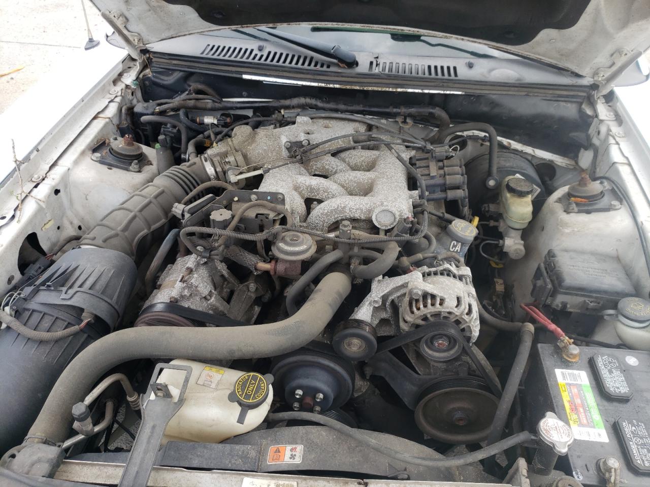 Photo 7 from auction – 2004 FORD MUSTANG with VIN 1FAFP44684F138664