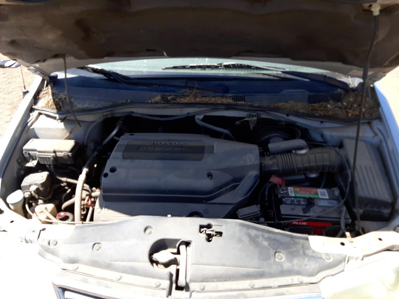 Photo 7 from auction – 2004 HONDA ODYSSEY with VIN 5FNRL18914B116967
