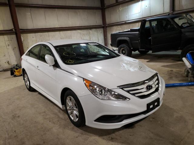 HYUNDAI SONATA GLS 2014 with VIN 5NPEB4AC5EH838891 - Photo from auction