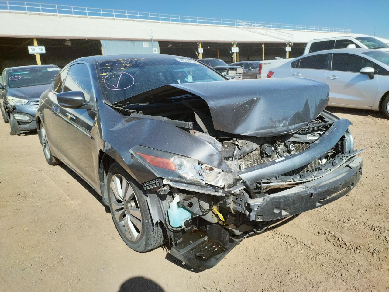 HONDA ACCORD EXL 2010 with VIN 1HGCS1B86AA009489 - Photo from auction