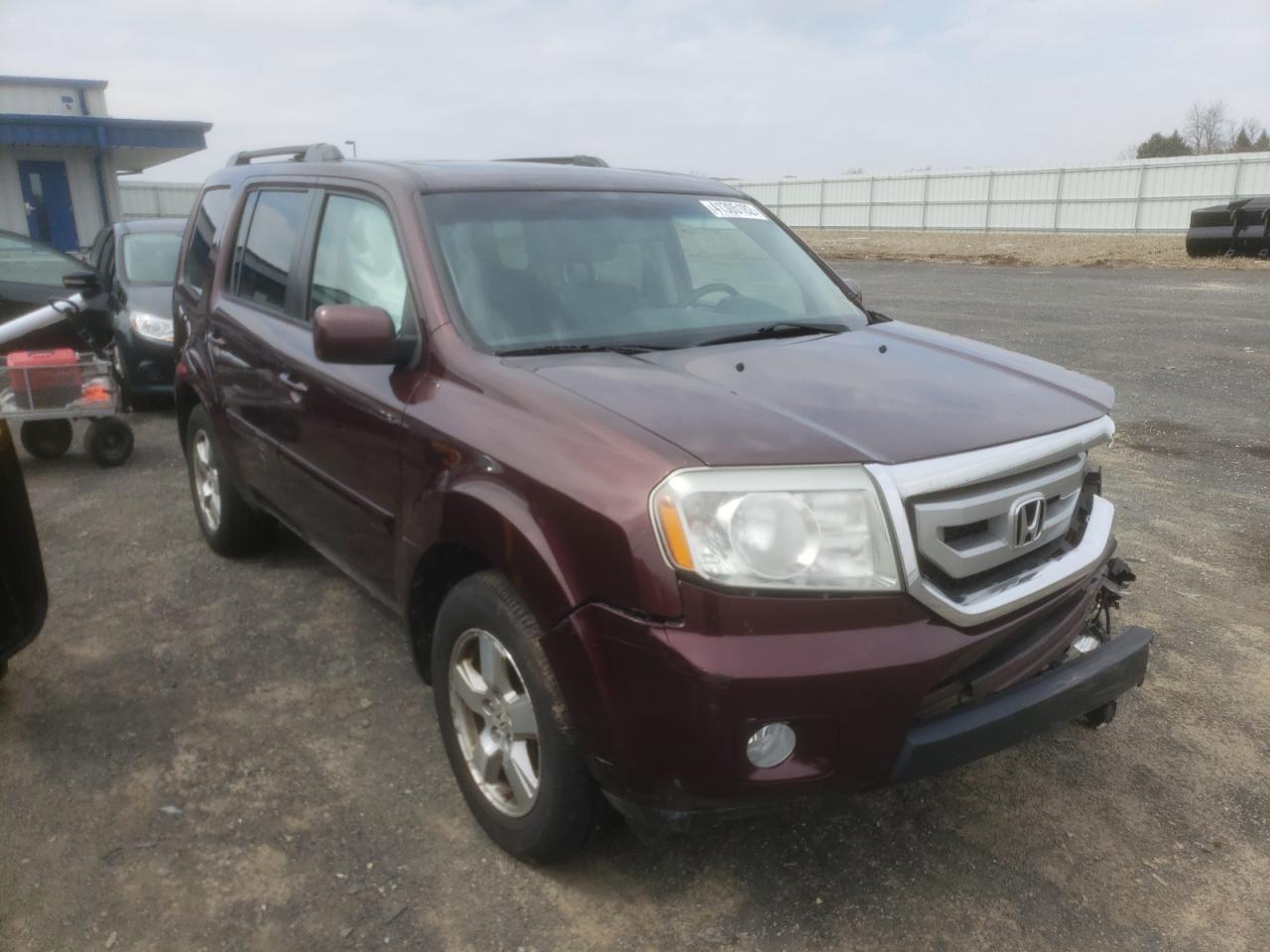 HONDA PILOT EXL 2011 with VIN 5FNYF4H51BB056459 - Photo from auction