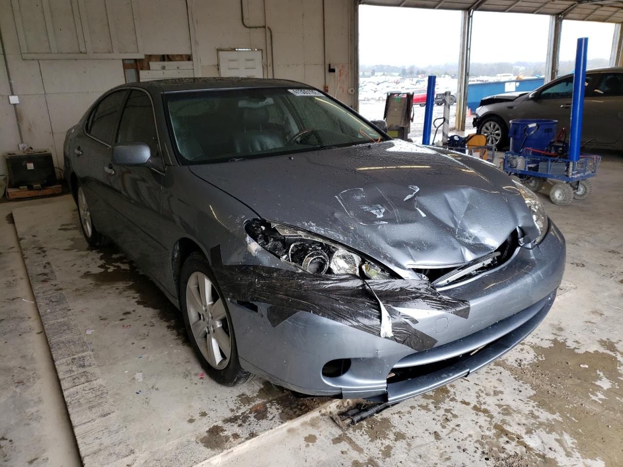LEXUS ES 330 2005 with VIN JTHBA30G955131859 - Photo from auction