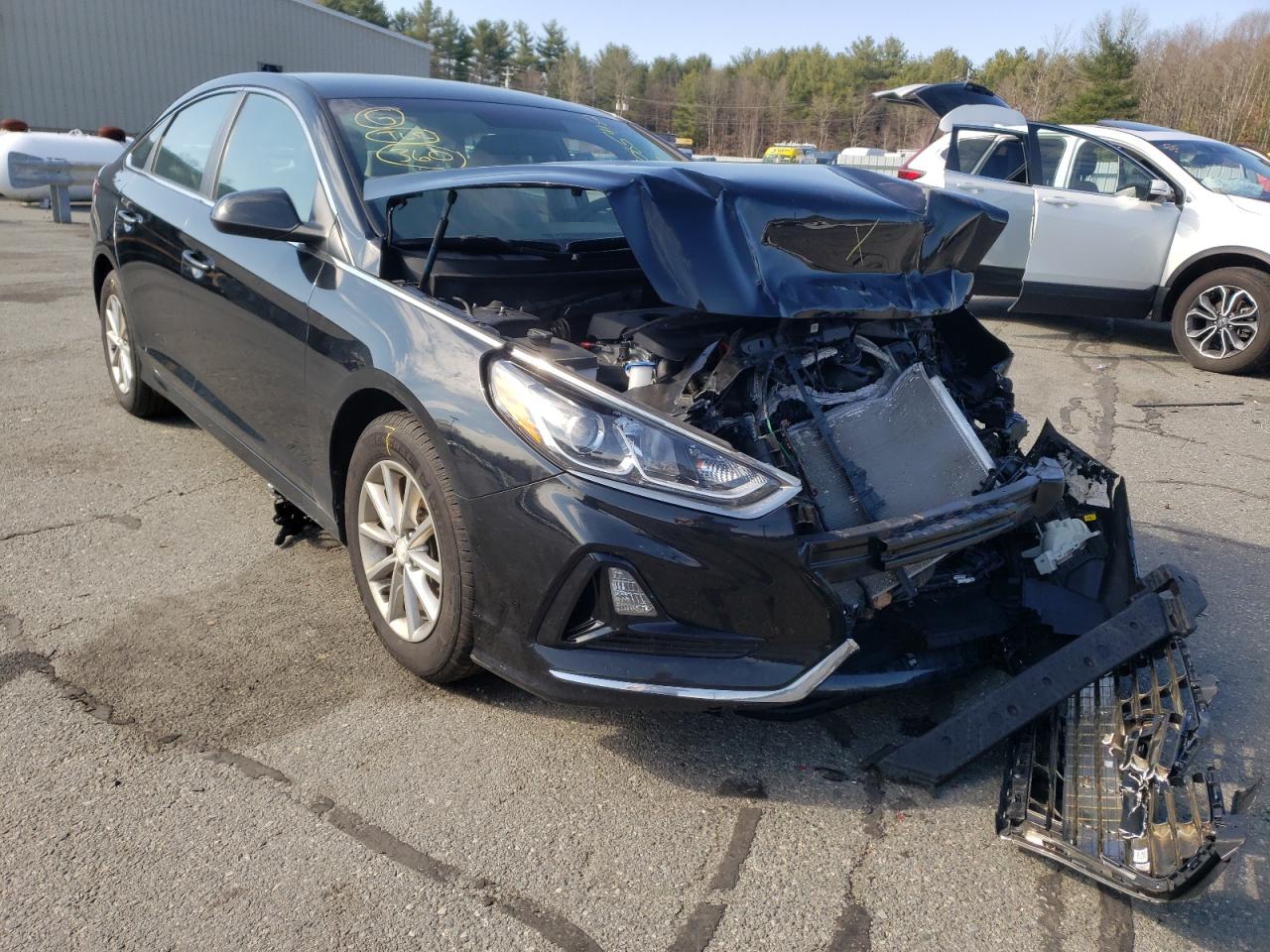 HYUNDAI SONATA SE 2019 with VIN 5NPE24AF4KH765955 - Photo from auction