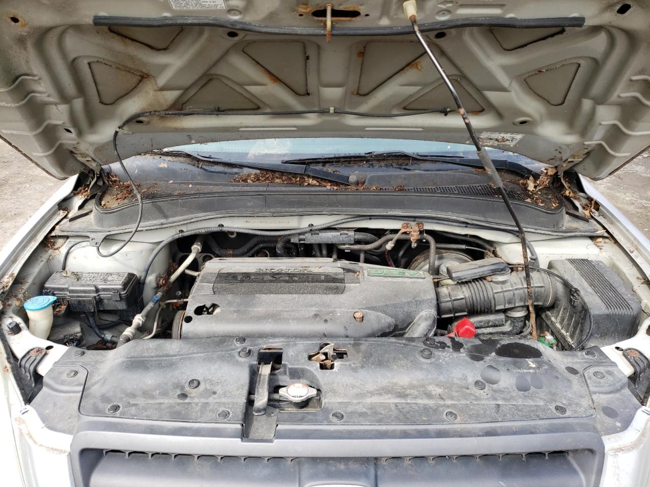 Photo 7 from auction – 2003 HONDA PILOT EXL with VIN 2HKYF18683H525914