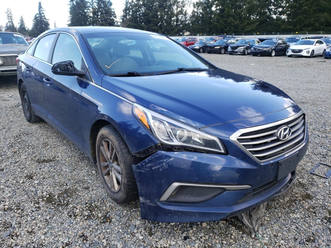 HYUNDAI SONATA SE 2017 with VIN 5NPE24AF3HH461704 - Photo from auction