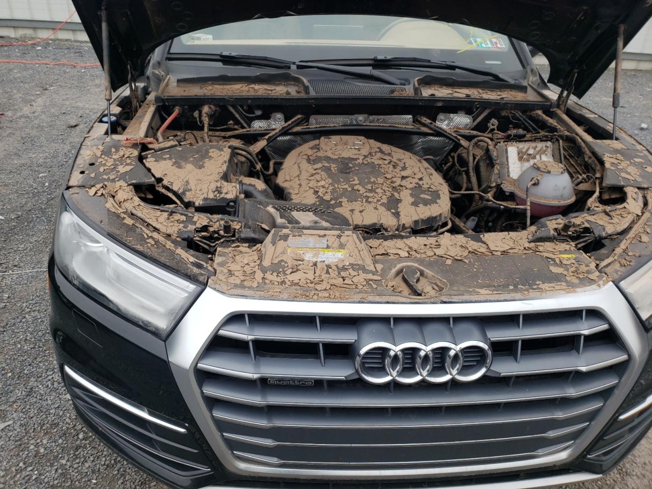 Photo 7 from auction – 2018 AUDI Q5 PREMIUM with VIN WA1ANAFY5J2233705
