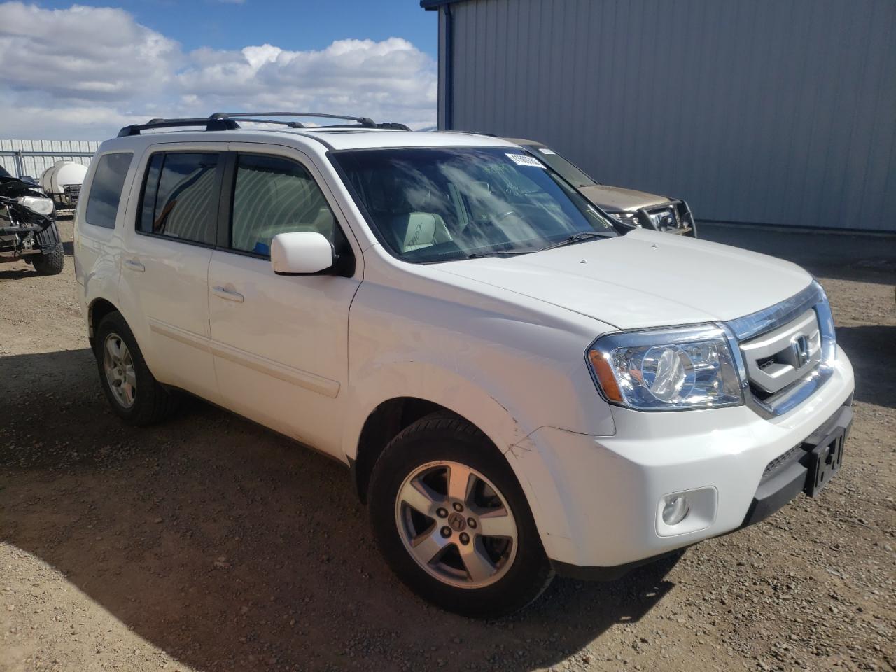 HONDA PILOT EXL 2009 with VIN 5FNYF48619B041933 - Photo from auction