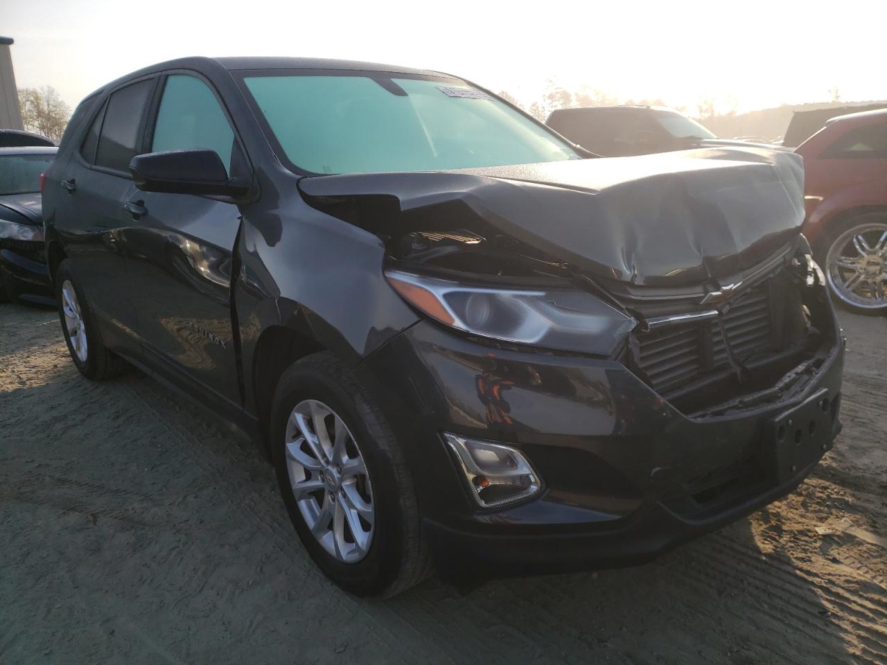 CHEVROLET EQUINOX LS 2019 with VIN 2GNAXHEV3K6276306 - Photo from auction