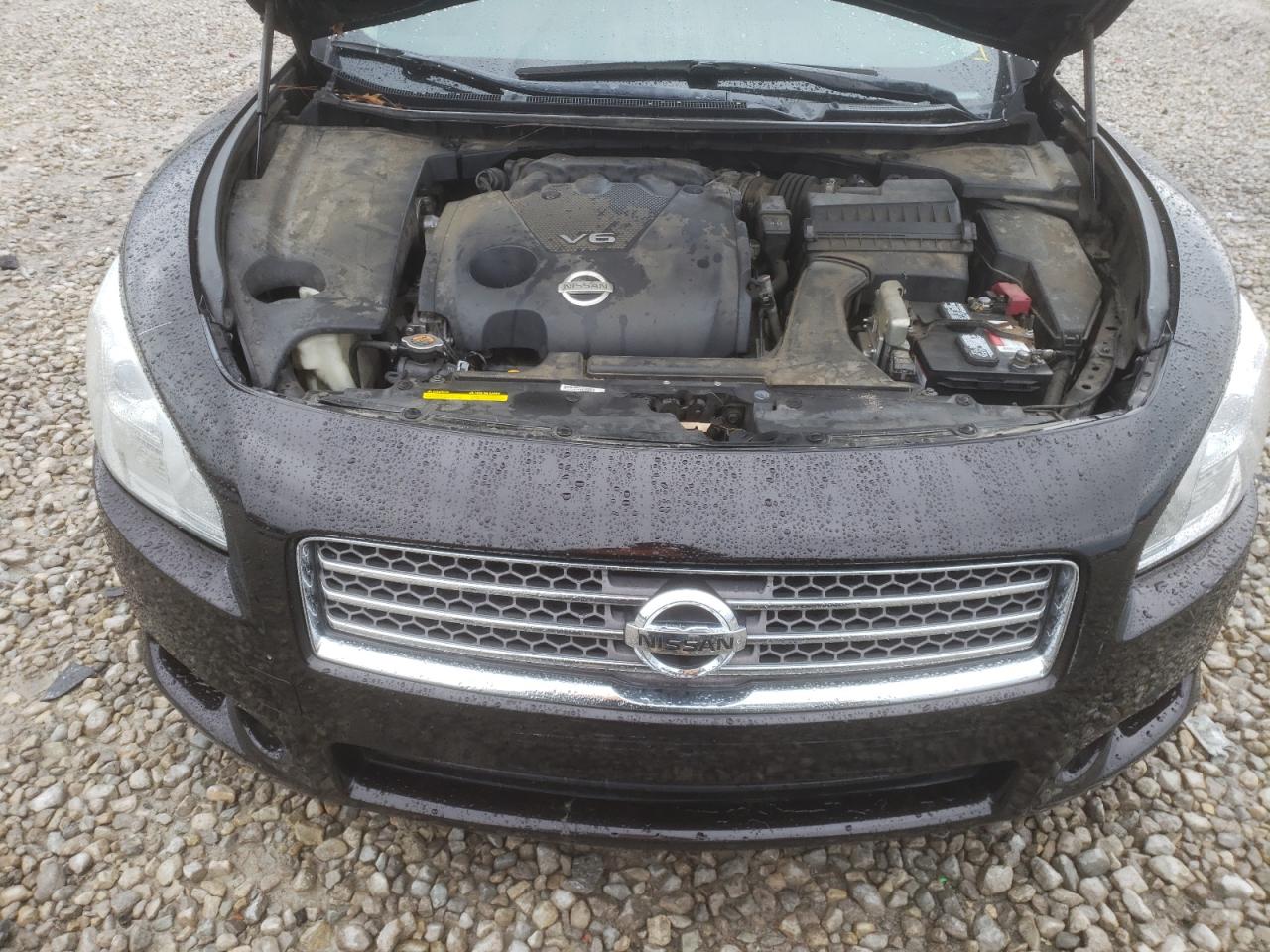 Photo 7 from auction – 2011 NISSAN MAXIMA S with VIN 1N4AA5AP0BC842032