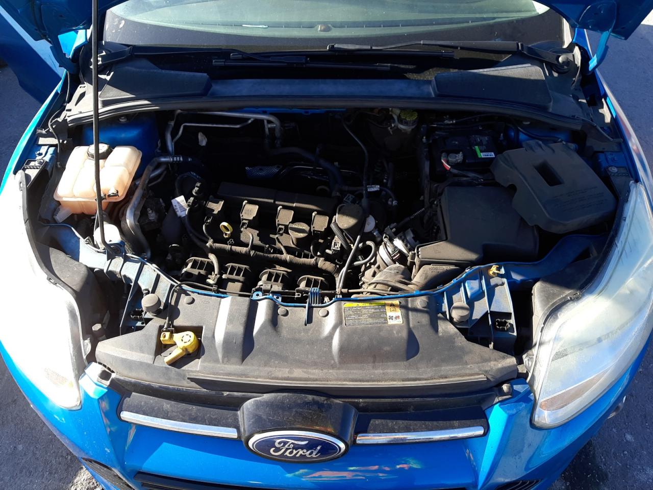 Photo 11 from auction – 2012 FORD FOCUS SEL with VIN 1FAHP3H27CL248115