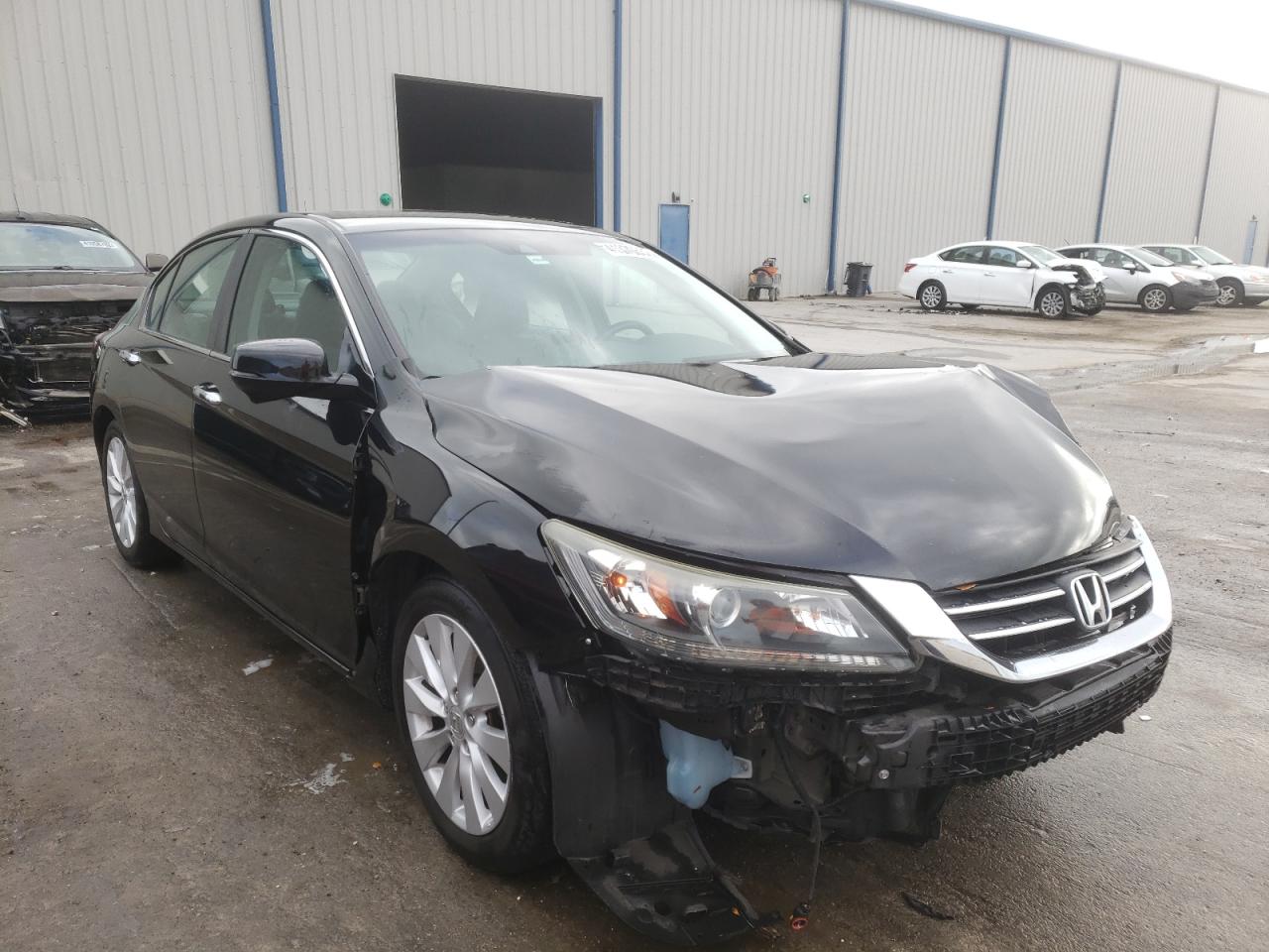 HONDA ACCORD EXL 2014 with VIN 1HGCR2F81EA116273 - Photo from auction