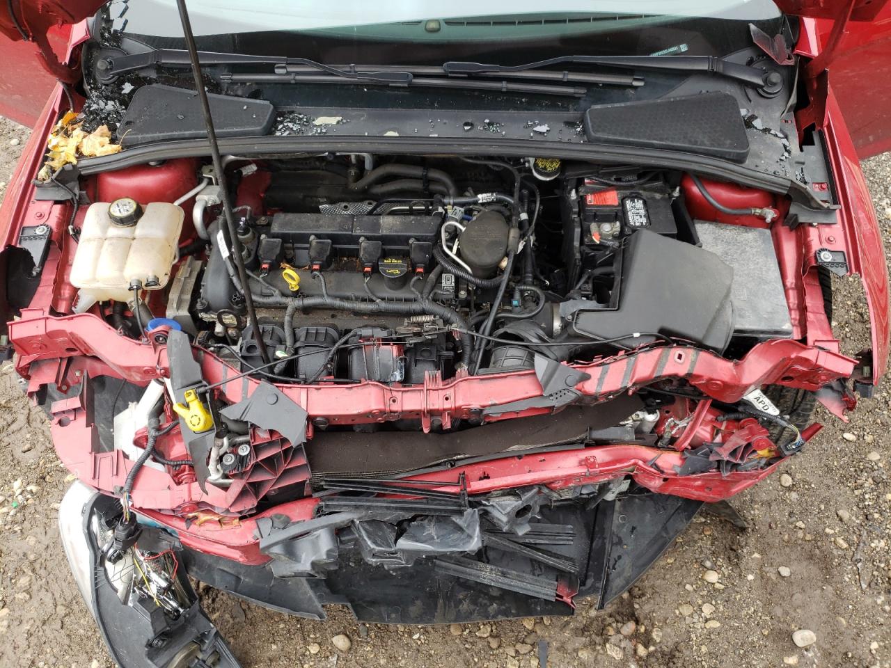Photo 7 from auction – 2012 FORD FOCUS SEL with VIN 1FAHP3H22CL448531