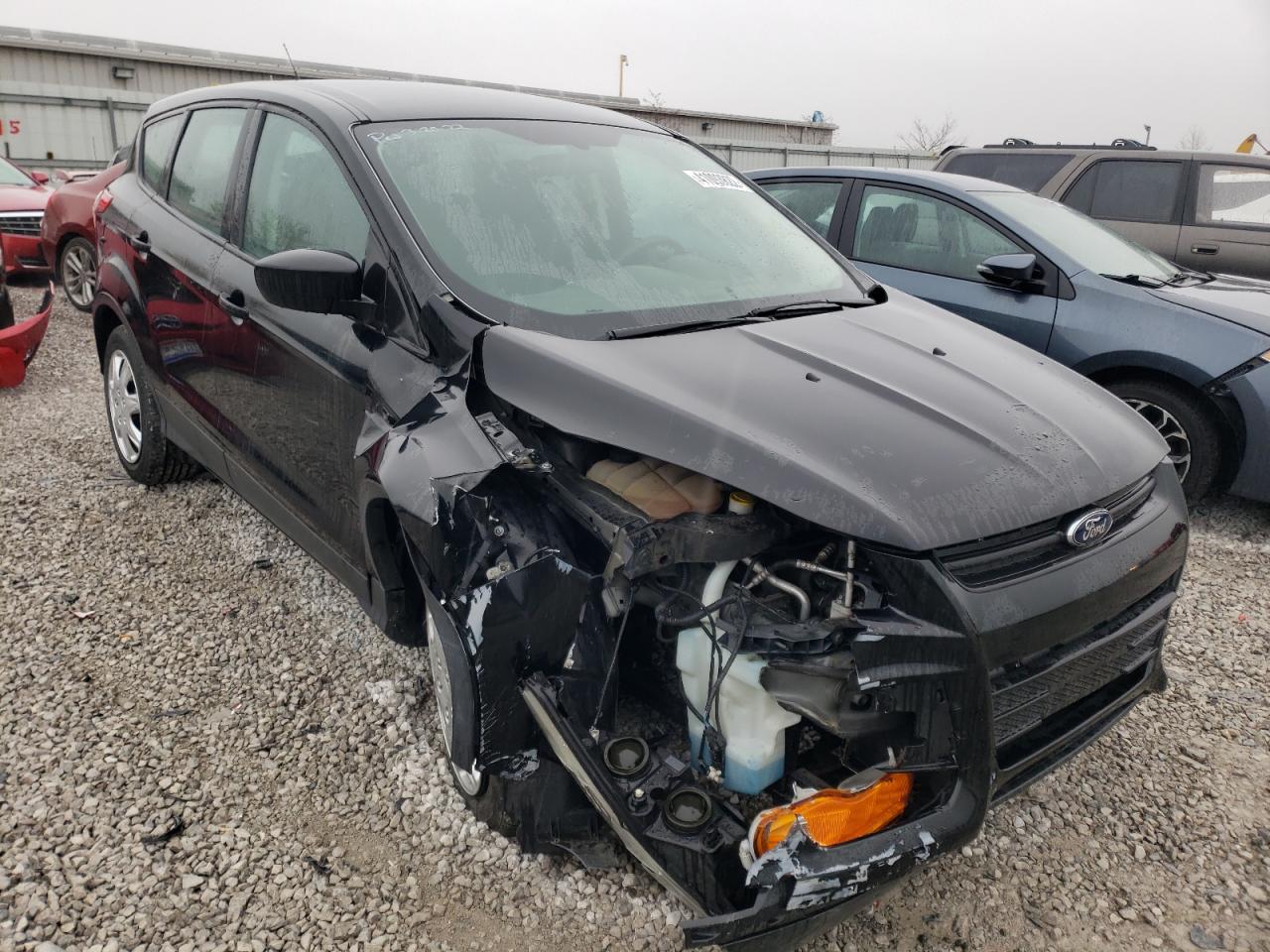FORD ESCAPE S 2014 with VIN 1FMCU0F70EUA74455 - Photo from auction