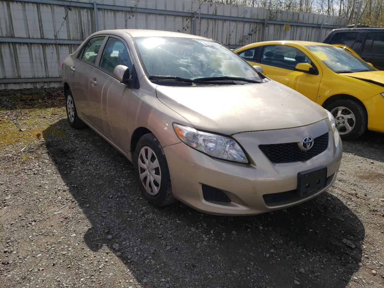 TOYOTA COROLLA BA 2009 with VIN 1NXBU40E39Z050103 - Photo from auction