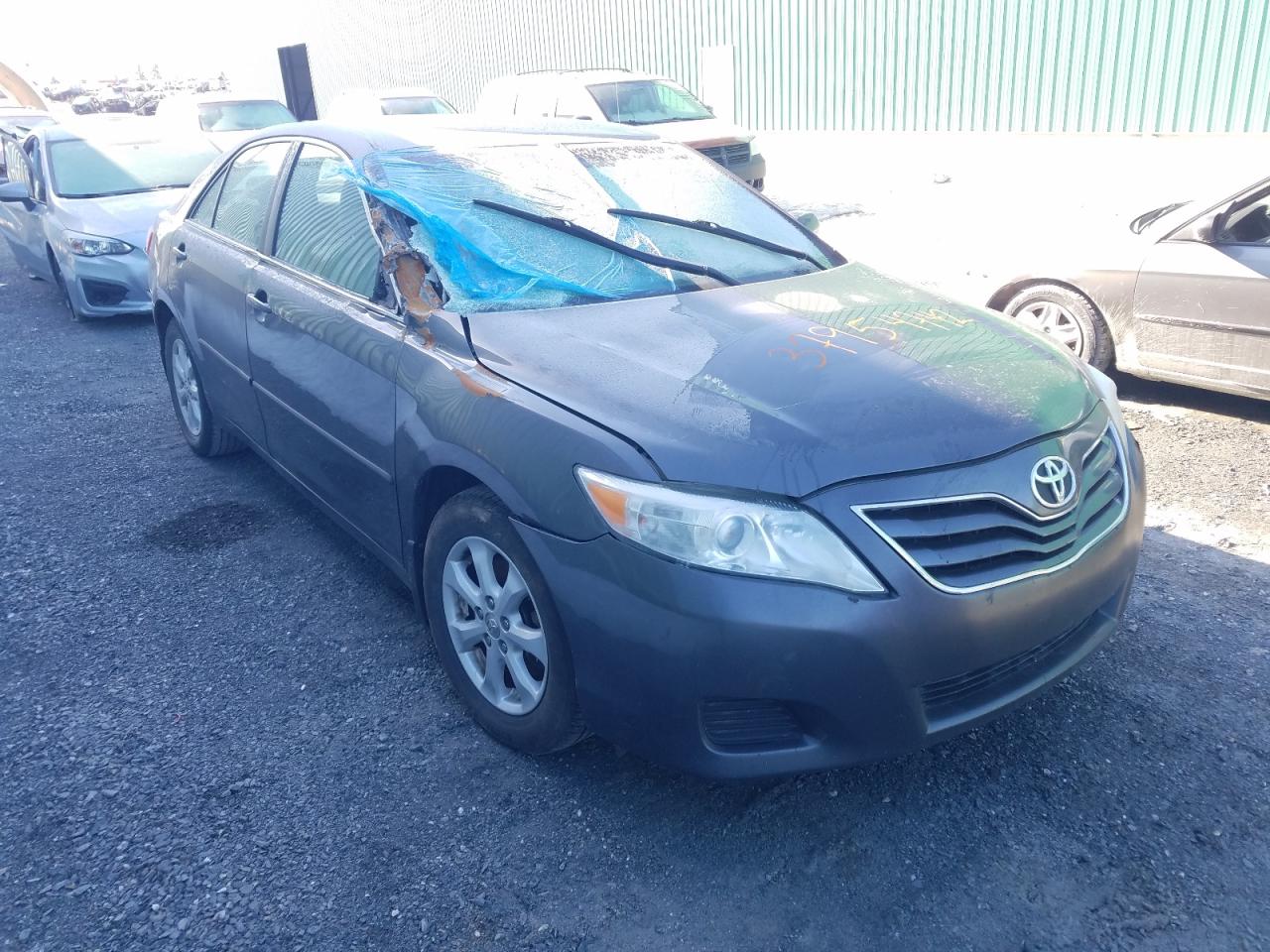 TOYOTA CAMRY LE 2011 with VIN 4T1BF3EK7BU667447 - Photo from auction
