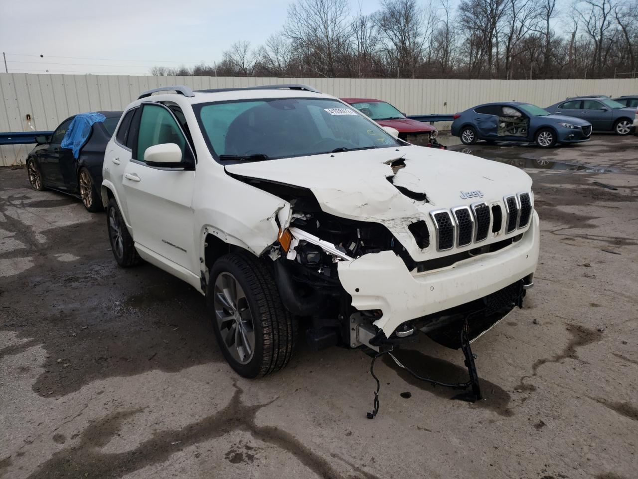 JEEP CHEROKEE O 2019 with VIN 1C4PJMJX5KD256161 - Photo from auction