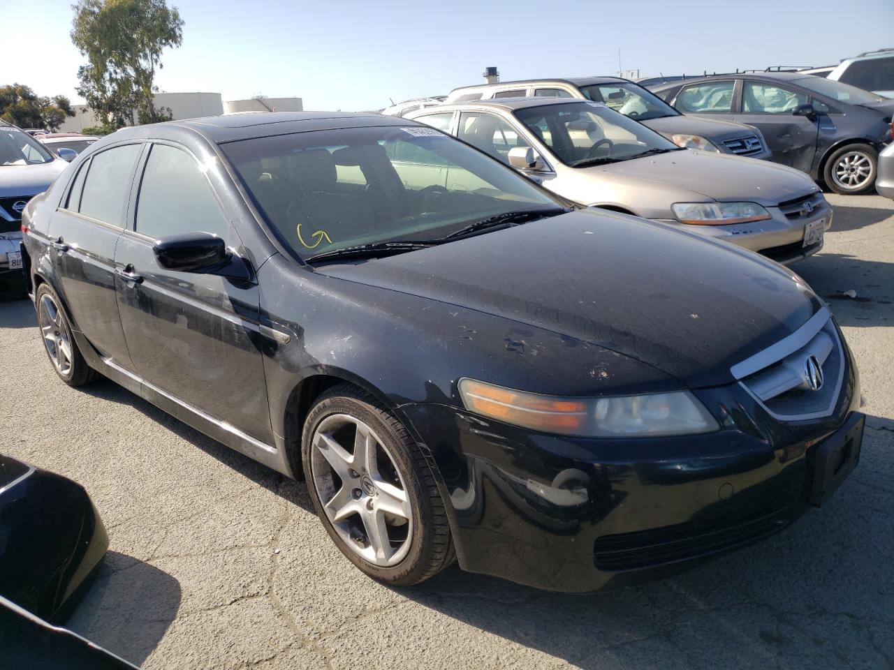 ACURA 3.2TL 2006 with VIN 19UUA66236A038207 - Photo from auction