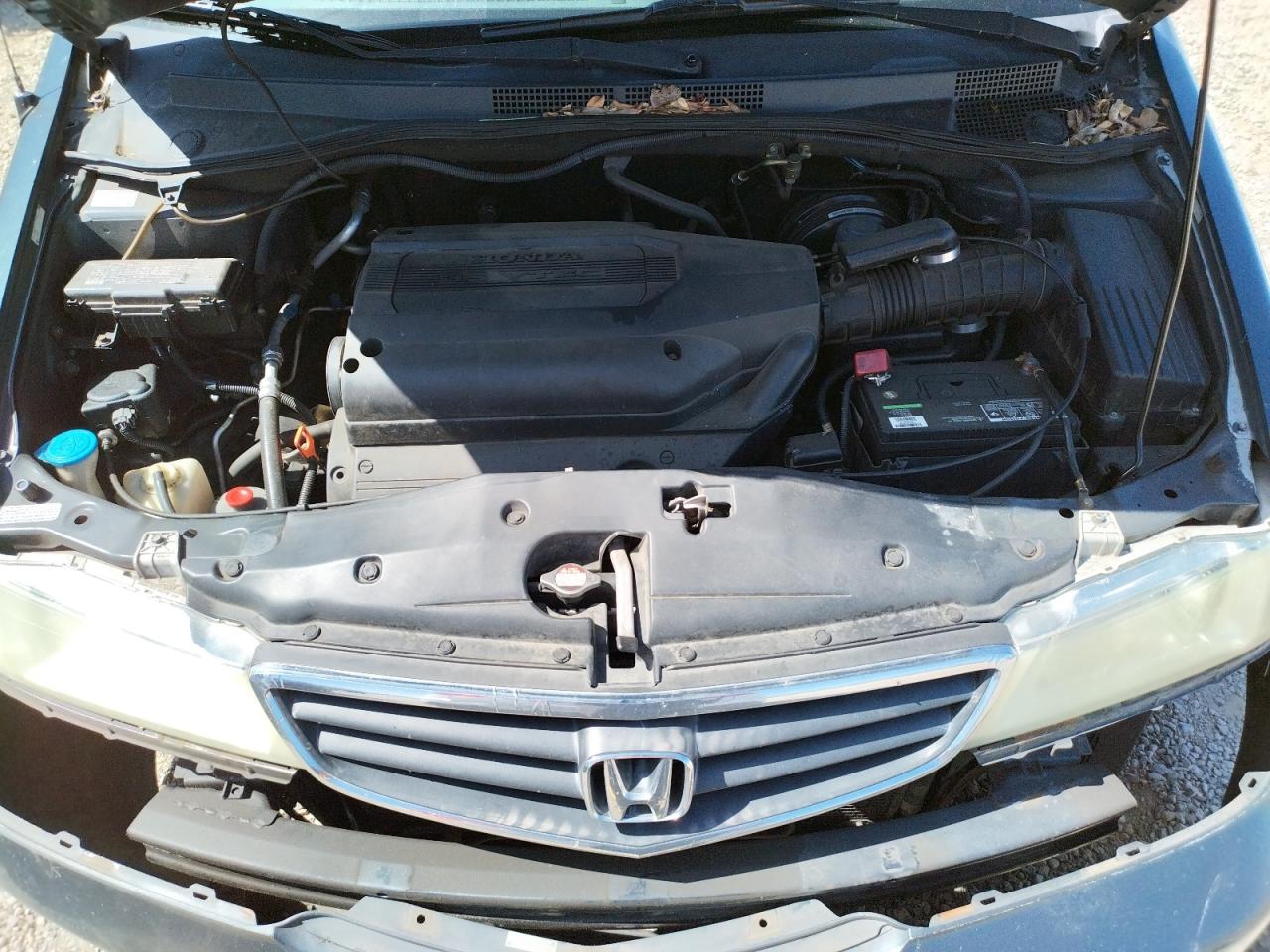 Photo 7 from auction – 2004 HONDA ODYSSEY EX with VIN 5FNRL18964B023703