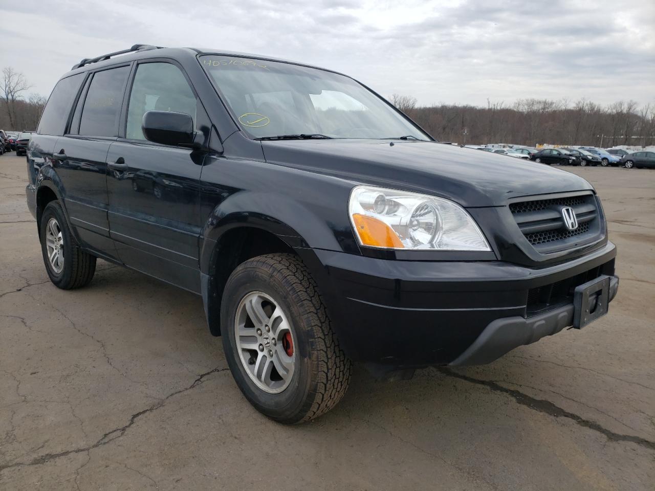 HONDA PILOT EX 2005 with VIN 5FNYF184X5B061508 - Photo from auction