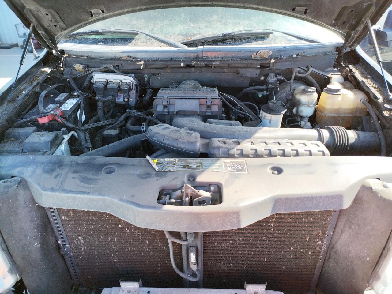 Photo 7 from auction – 2004 FORD F-150 with VIN 1FTRX12554KD56309