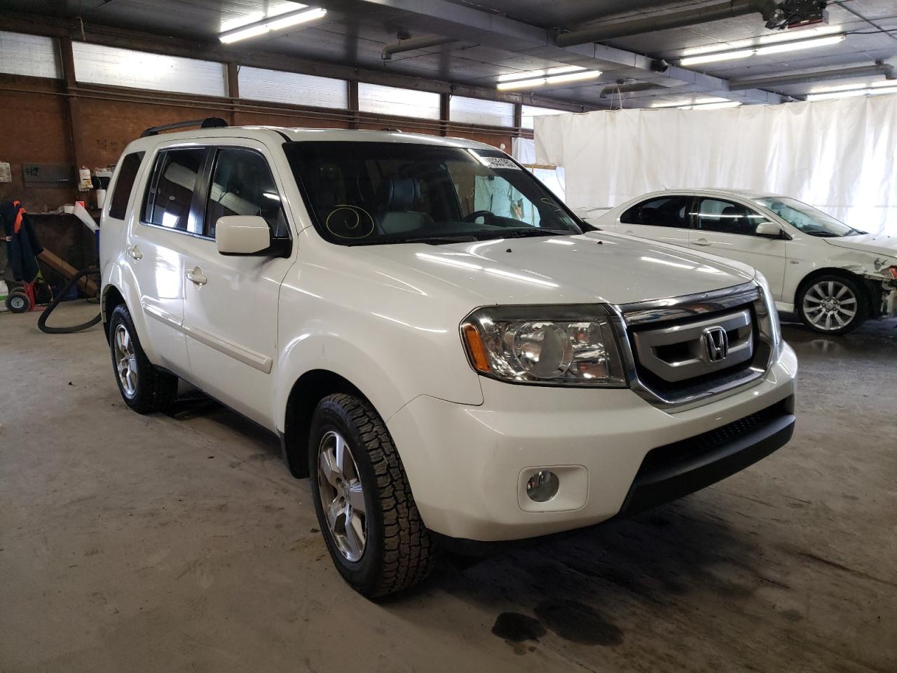 HONDA PILOT EXL 2011 with VIN 5FNYF4H57BB025135 - Photo from auction