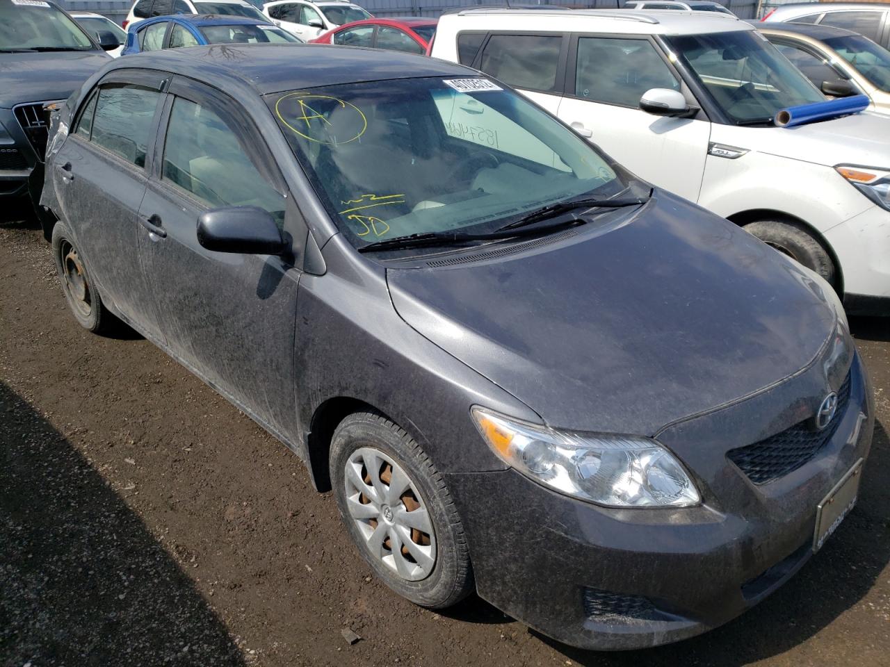 TOYOTA COROLLA BA 2009 with VIN 2T1BU40E99C088310 - Photo from auction