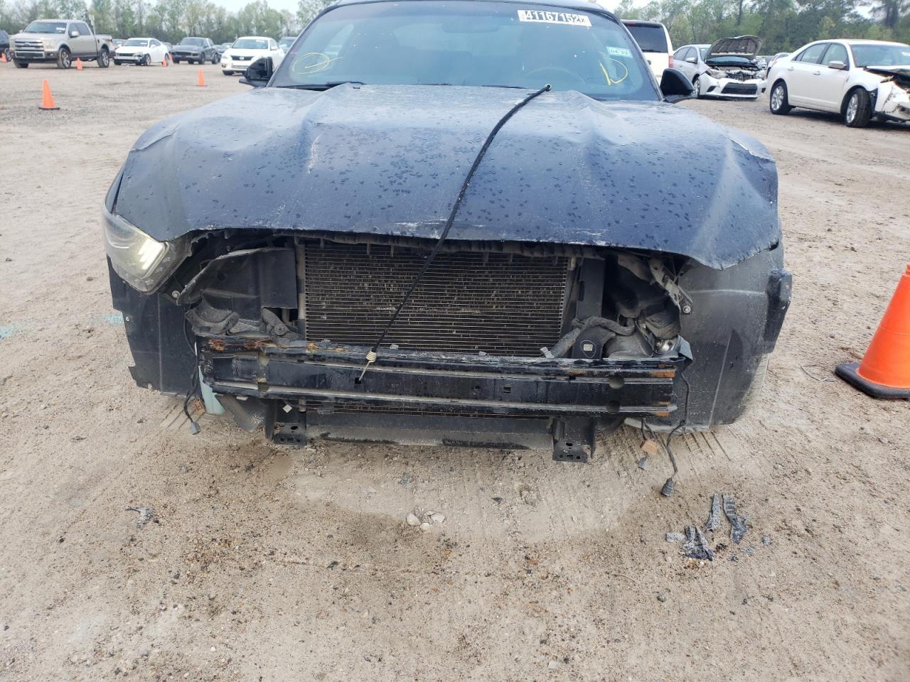 Photo 10 from auction – 2017 FORD MUSTANG with VIN 1FA6P8AM2H5335951