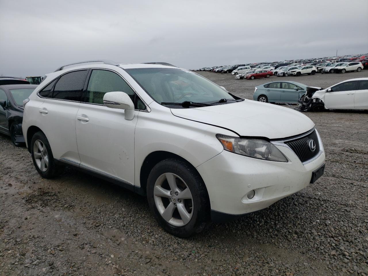 LEXUS RX 350 2010 with VIN 2T2BK1BA2AC019313 - Photo from auction