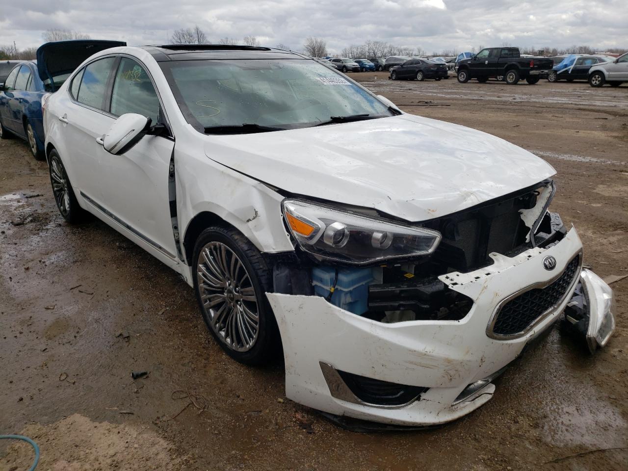 Photo 1 from auction – 2014 KIA CADENZA PR with VIN KNALN4D77E5165337