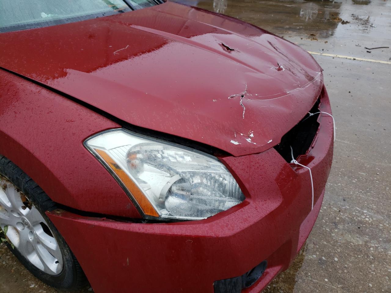 Photo 9 from auction – 2008 NISSAN MAXIMA SE with VIN 1N4BA41E78C832409