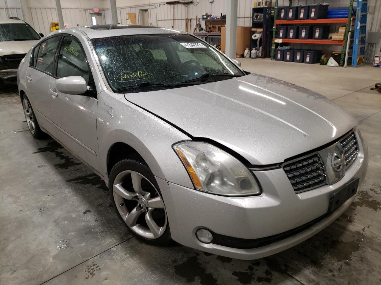 NISSAN MAXIMA SE 2005 with VIN 1N4BA41E15C828240 - Photo from auction