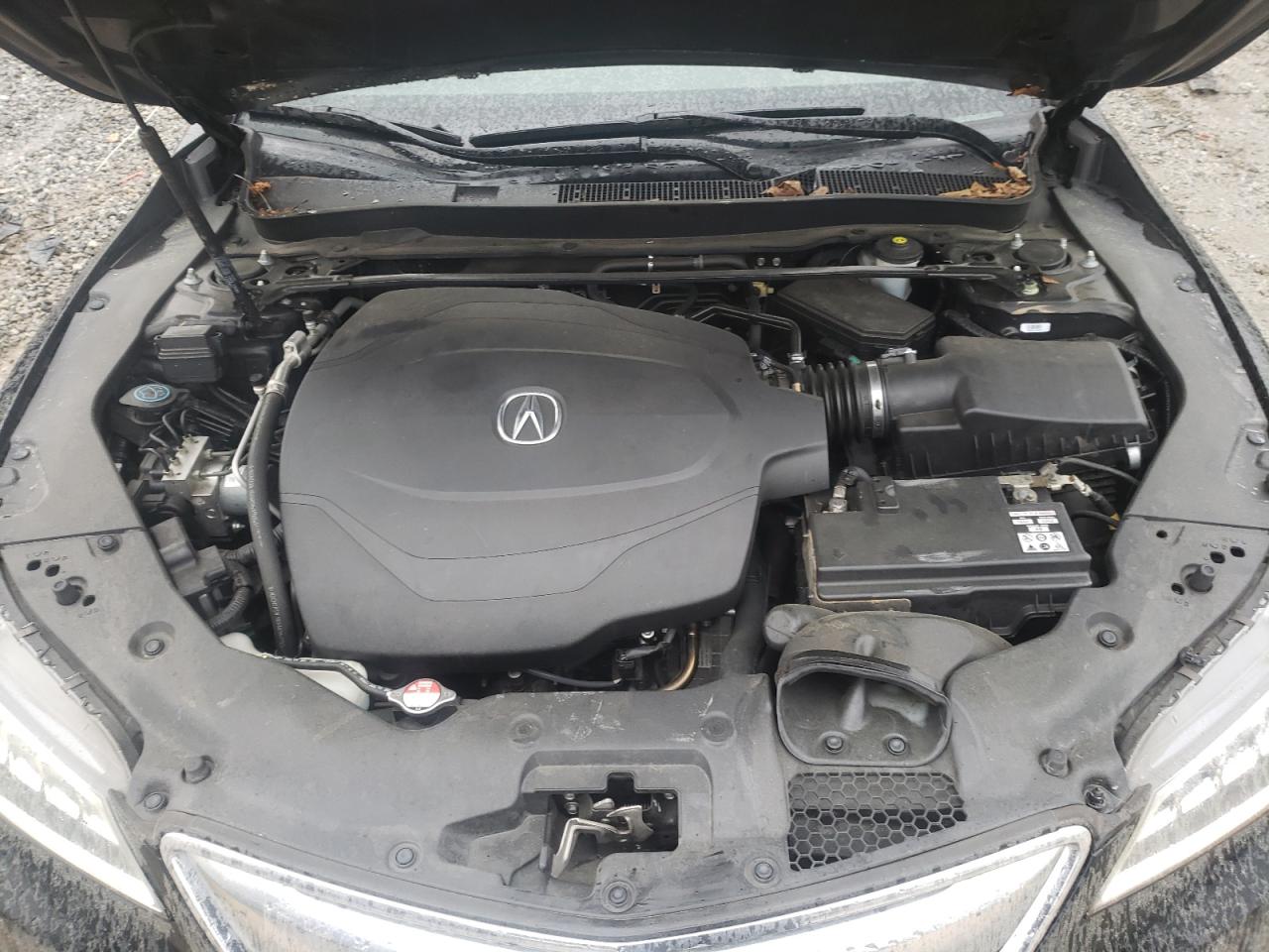 Photo 7 from auction – 2015 ACURA TLX with VIN 19UUB2F33FA006419