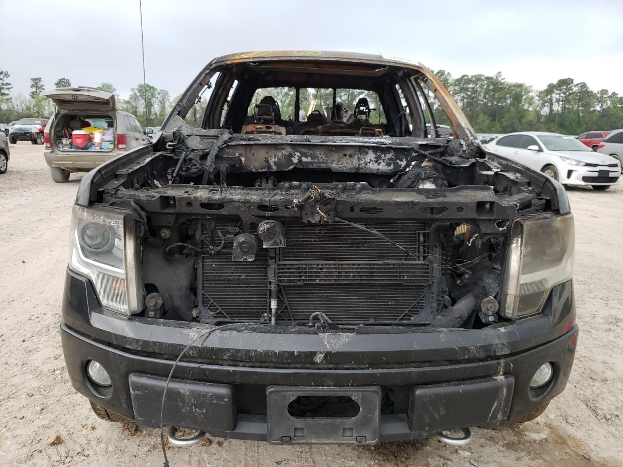 Photo 9 from auction – 2014 FORD F150 SUPER with VIN 1FTFW1EF6EFC17830