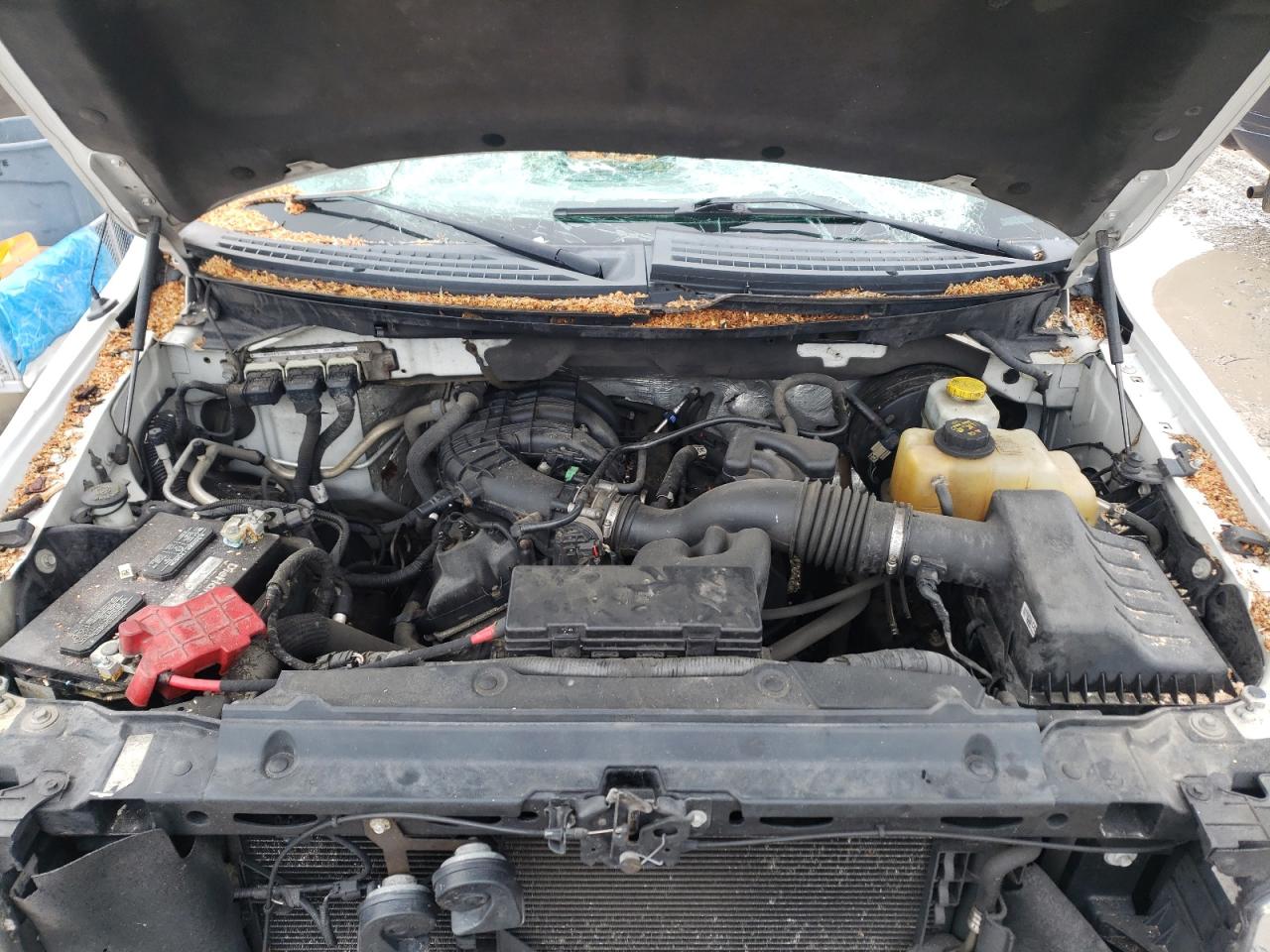 Photo 7 from auction – 2014 FORD F150 SUPER with VIN 1FTEX1CM9EKF97568