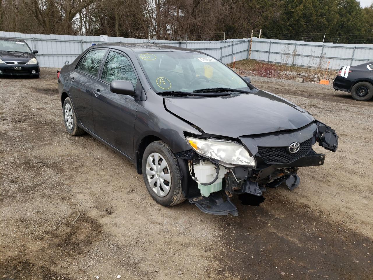 TOYOTA COROLLA BA 2010 with VIN 2T1BU4EE1AC260312 - Photo from auction