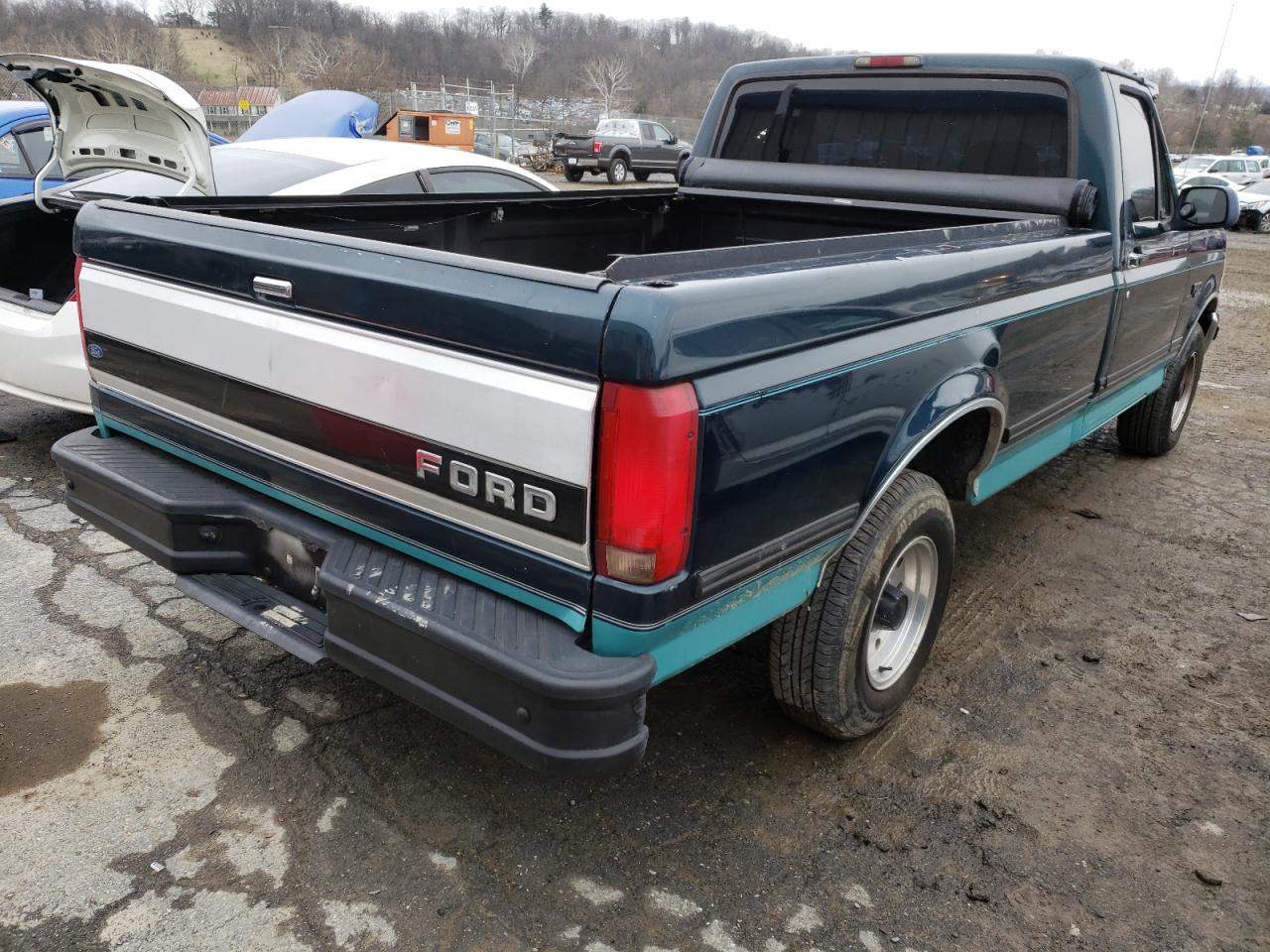 Photo 4 from auction – 1995 FORD F150 with VIN 1FTEF15NXSNB12891