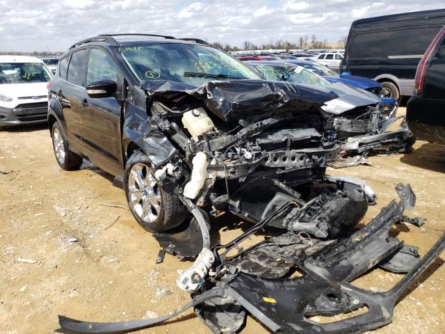 FORD ESCAPE SEL 2013 with VIN 1FMCU0HX5DUA04610 - Photo from auction