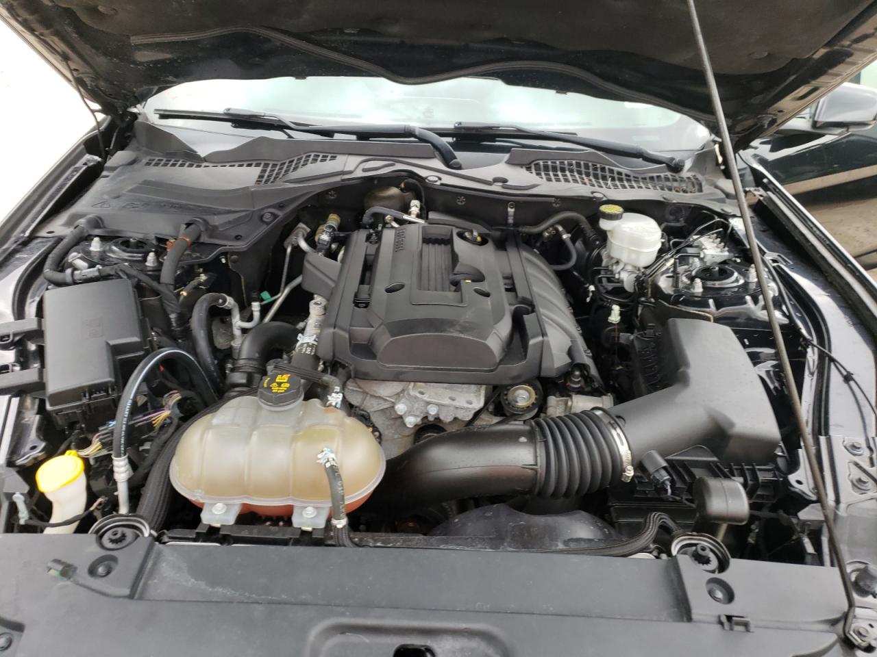 Zdjęcie 7 z aukcji – 2017 FORD MUSTANG z VIN 1FA6P8TH4H5226682
